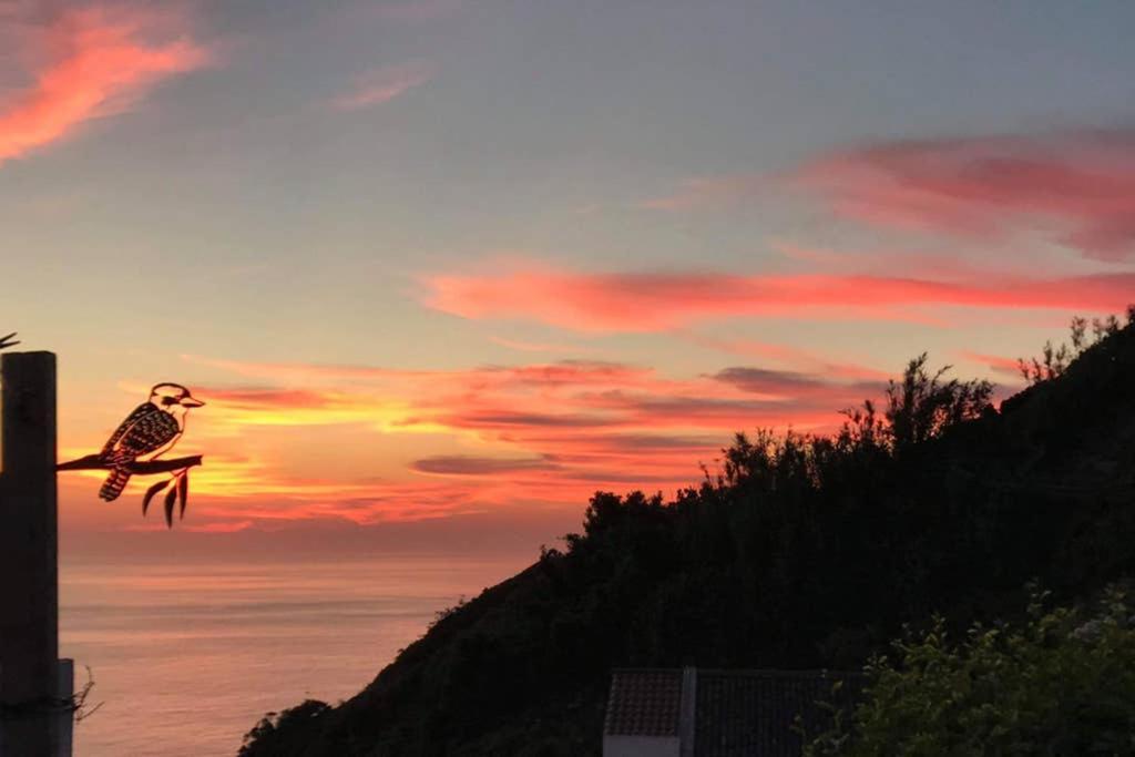 Sunset Nest Villa Ponta Delgada Eksteriør bilde